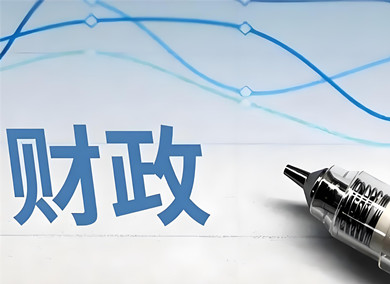 2025年財(cái)政政策執(zhí)行情況報(bào)告 政采政策效能顯著提升